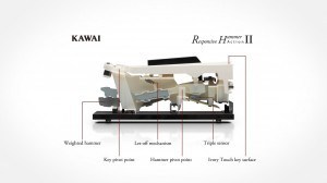 Hybrid/Condo Design - KAWAI CS4