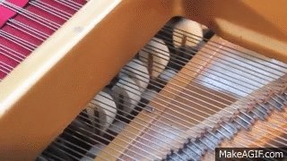 How_to_Use_the_Piano_Pedals_2_Vs_3_Piano_Pedals_What_do_the_Piano_Pedals_Do