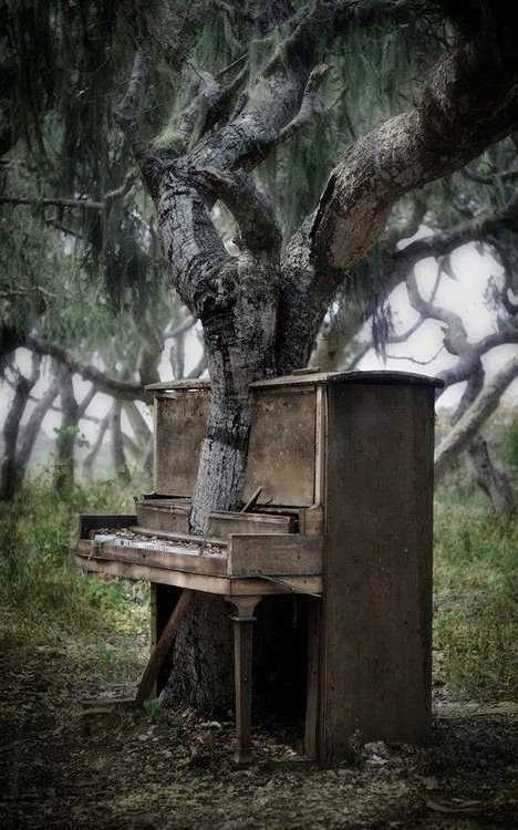 tree piano