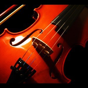 violin