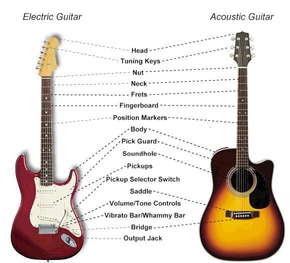 Anatomy of the guitar