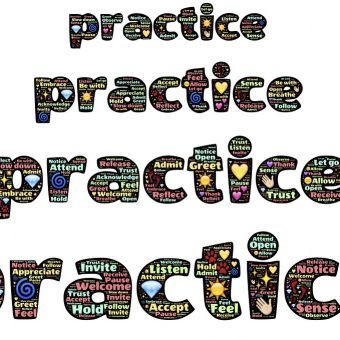 practice logo