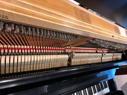 action photo of Steinway 1098