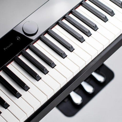 Casio PX-S1000 Overhead