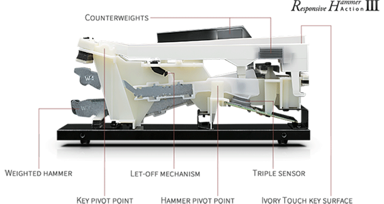 Responsive Hammer III Key Action