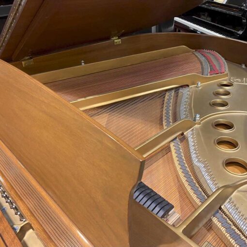 Used Steinway M Hammers