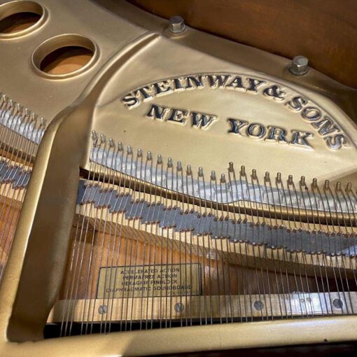 Used Steinway M logo