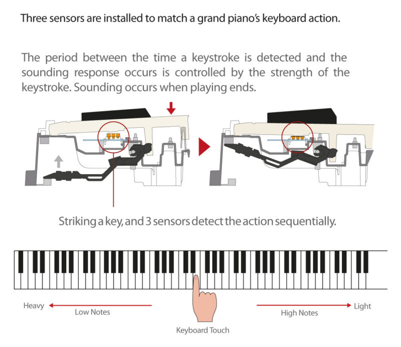 Casio Tri-Sensor Scaled Hammer Action Keyboard II