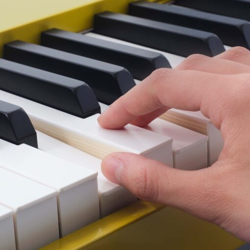 Image of the wooden keys of the Casio PX-S7000