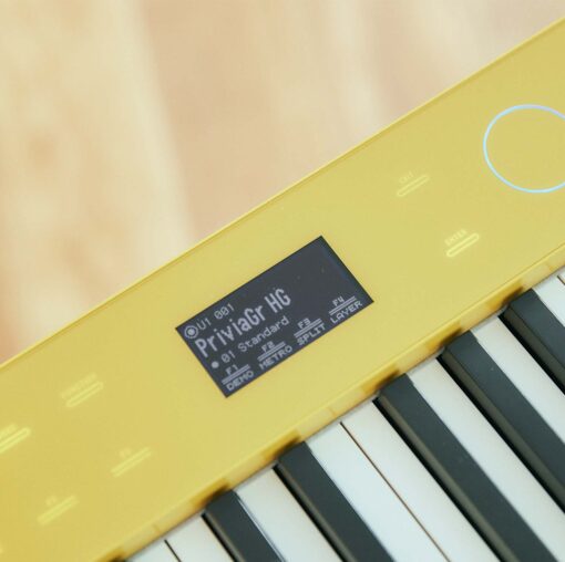 Image of the main display of the Casio PX-S7000