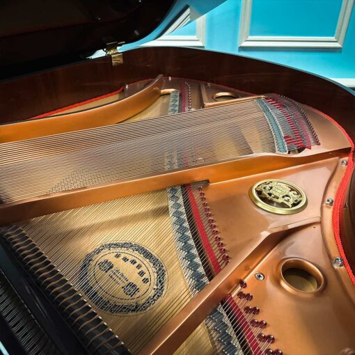 Used Gebr. Perzina E160BB2 Grand Piano in Polished Inner