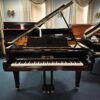 Used Perzina GBT175 Grand Piano in Polished Ebony