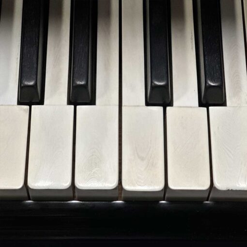 Used Steinway A Grand Piano in Satin Ebony keys Detail