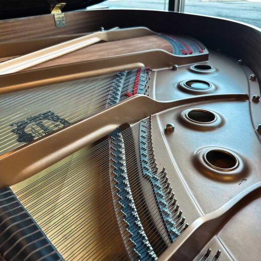 Used Yamaha C1 Grand Piano in Polished Ebony With Player Inner View