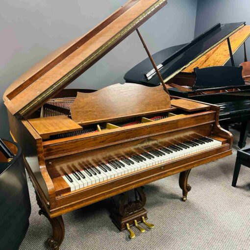 Mason and Risch Grand Piano Left Angle