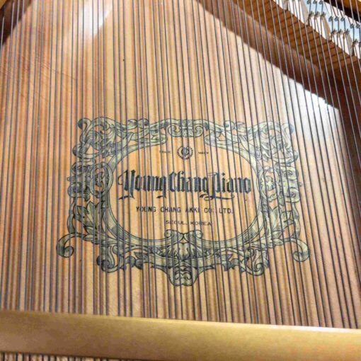 Young Chang G175 Grand Piano Logo