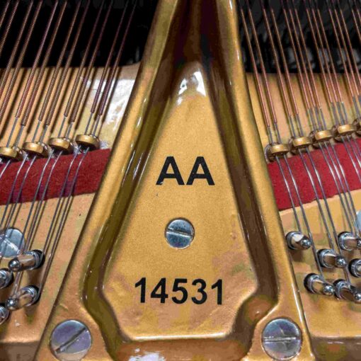 Mason Hamlin AA Serial Number