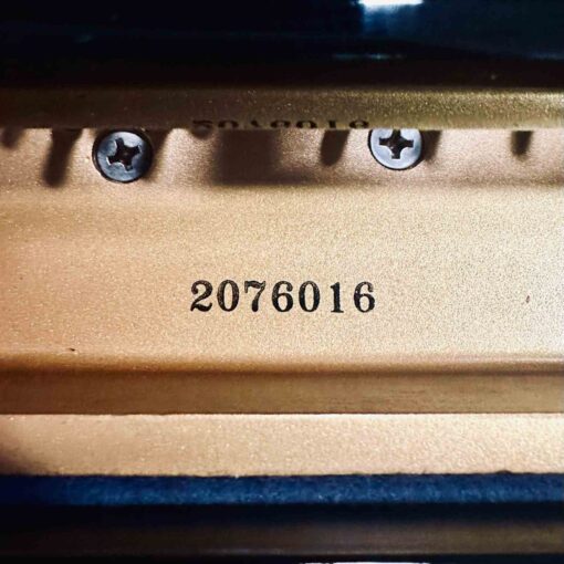 Kawai KG-2 Serial Number