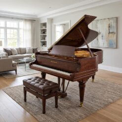 Mason & Hamlin AA Grand Piano