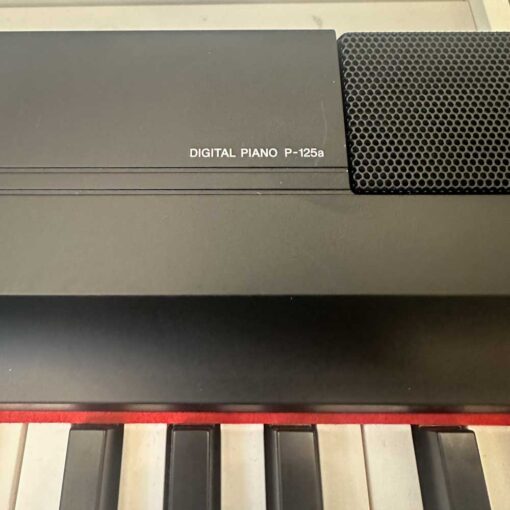 Used Yamaha P125a Model Number