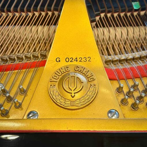 Used Young Chang G150 Serial Number