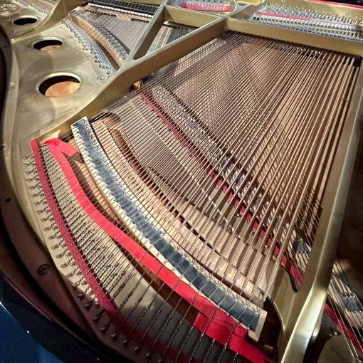 Kawai GE1A Grand Piano Strings