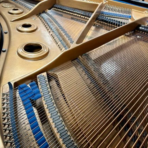 Kawai KG1C Grand Piano Strings