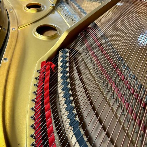 Wurlitzer G461 Grand Piano Strings