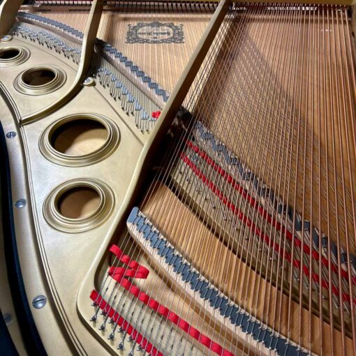 Yamaha C3 Grand Piano Strings