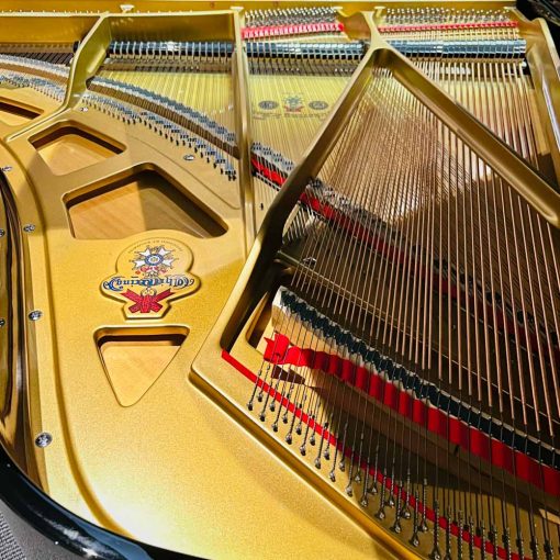 Chickering CH176 Grand Piano Strings