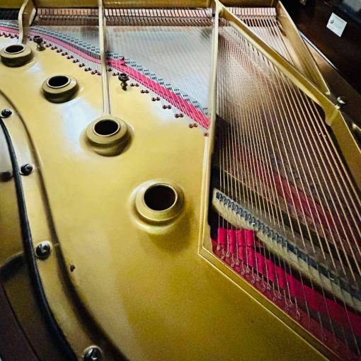 Heintzman Grand Piano Strings