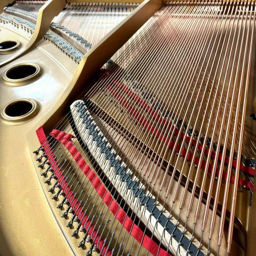 Young Chang G175 Grand Piano Strings