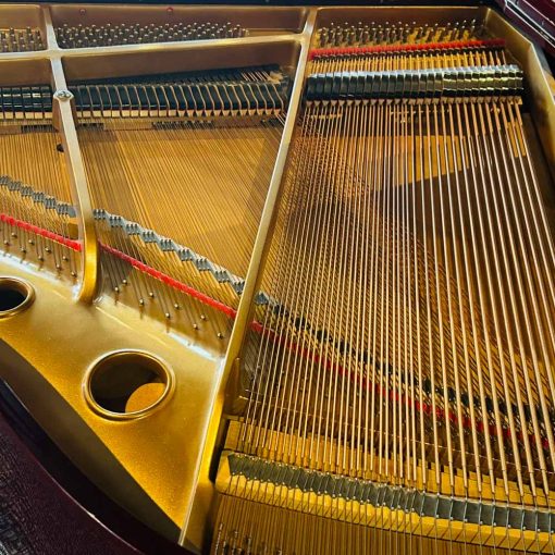 D.H. Baldwin C142 Grand Piano Strings