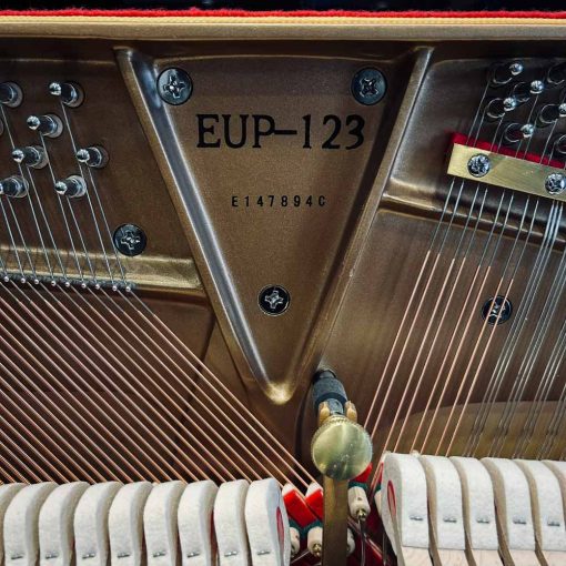 Essex EUP123 Upright Piano Serial Number