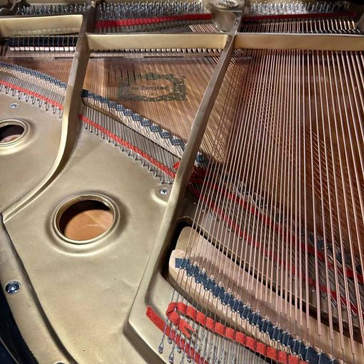 Wagner G157 Grand Piano Strings