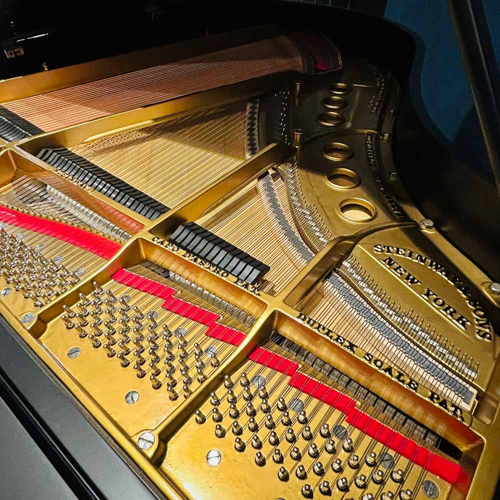 Steinway M Grand Piano Soundboard