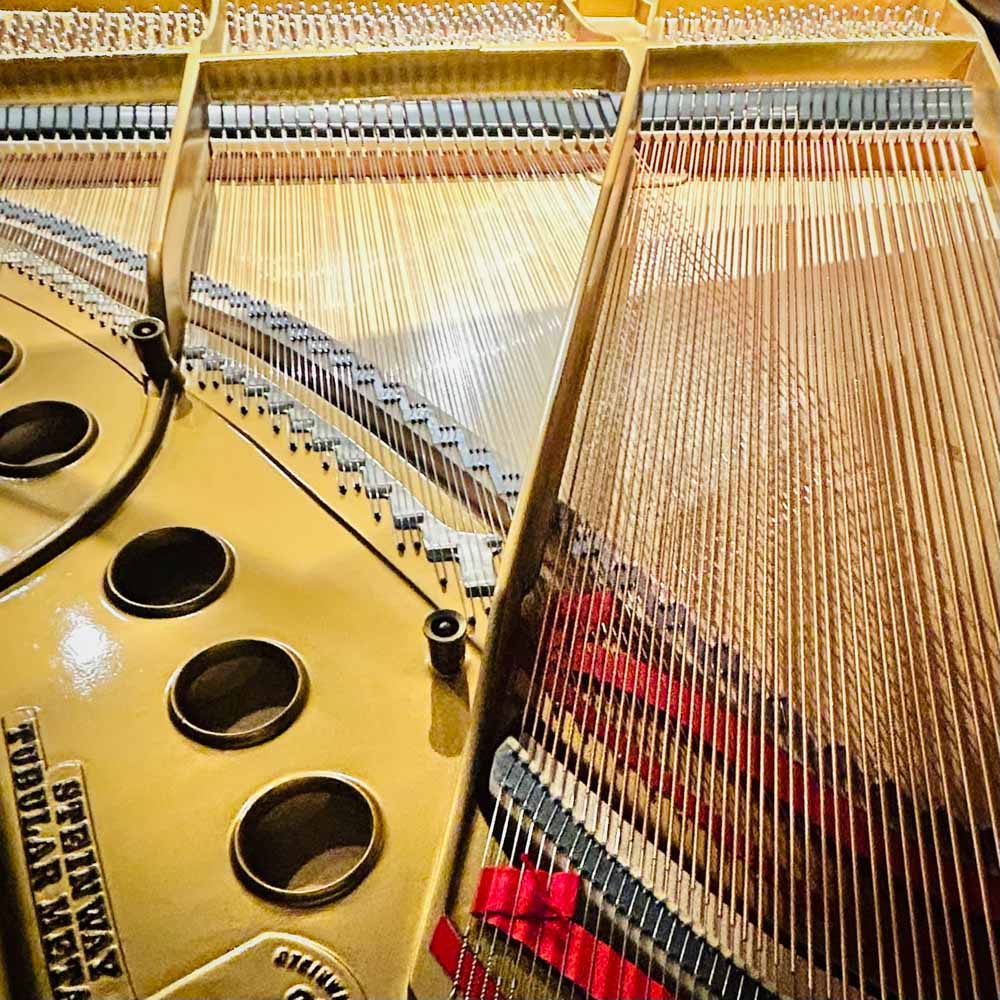 Steinway M Grand Piano Strings