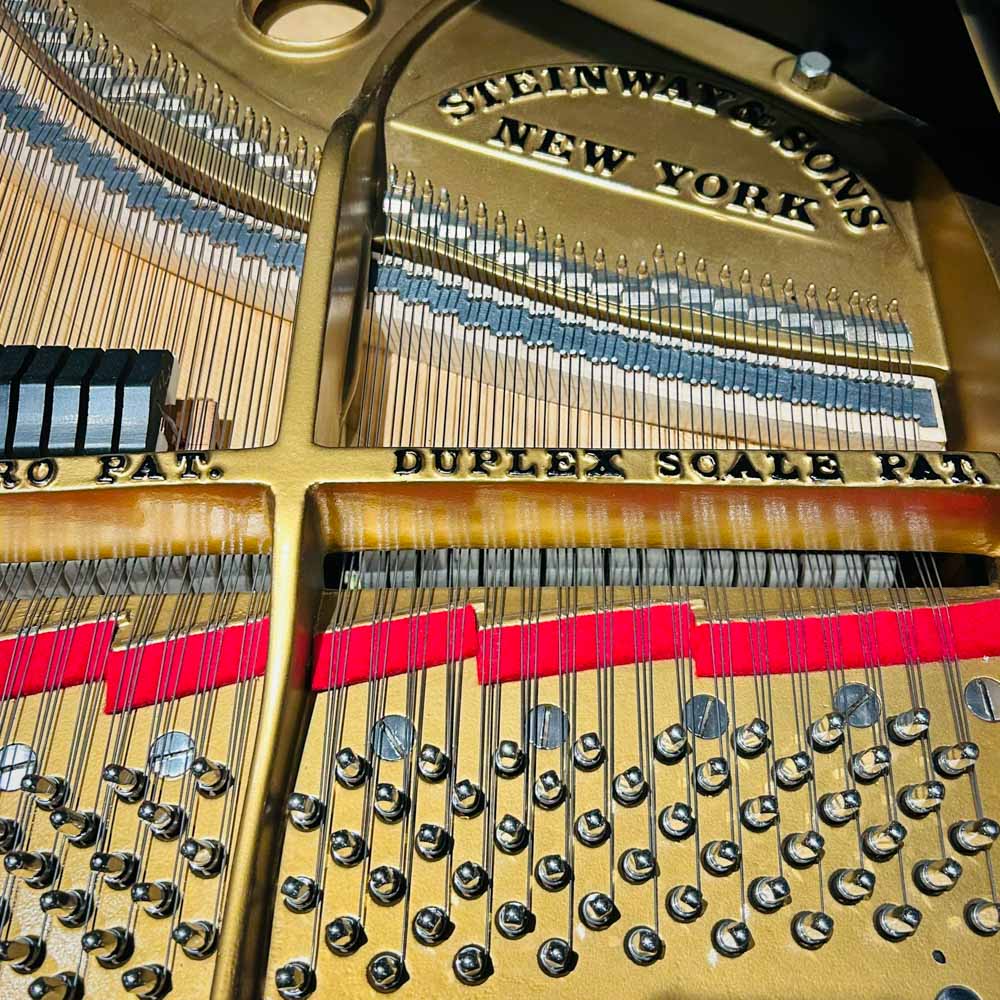 Steinway M Grand Piano Pins