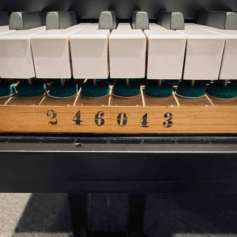 Steinway M Grand Piano Serial Number