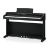 Kawai CX202 on White Background