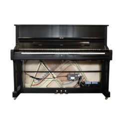 Piano Life Saver DC-UPRIGHT Dampp Chaser