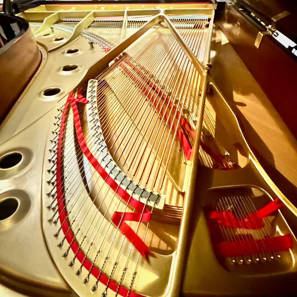 Kawai RX7 Grand Piano Strings